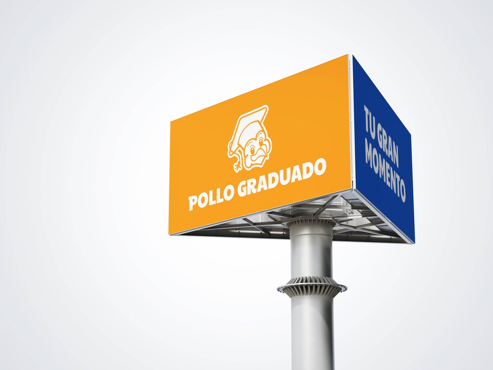 galeria-pollograduado-9